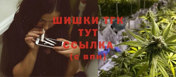 соль ск Бородино